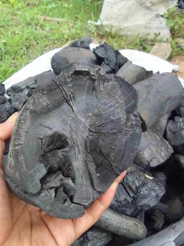 Arang Kayu Keras Premium (Hardwood Charcoal) – Grade Restoran & Industri (PT PPJ)