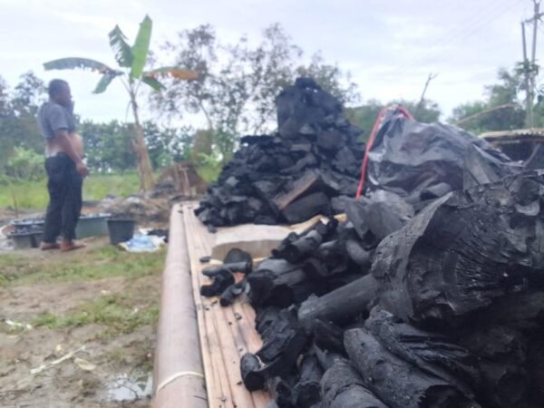 Arang Kayu Keras Premium (Hardwood Charcoal) – Grade Restoran & Industri (PT PPJ)