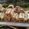 Kayu Bakar Alami Premium (Natural Firewood) – Kering Tanur & Kalibrasi Oven (PT PPJ)