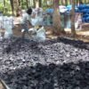 Arang Batok Kelapa & Briket Premium (Premium Coconut Shell Charcoal & Briquettes)