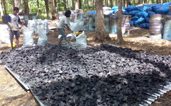Arang Batok Kelapa & Briket Premium (Premium Coconut Shell Charcoal & Briquettes)