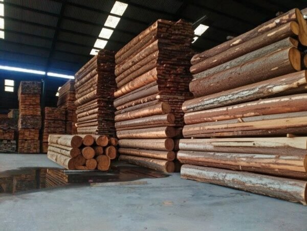 Kayu Keras Campuran (Premium Hardwood Mix) - Material Konstruksi Berat