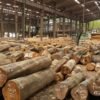 Kayu Jati & Mahoni Premium (High-Quality Teak & Mahogany) - Standar Ekspor & Konstruksi Mewah