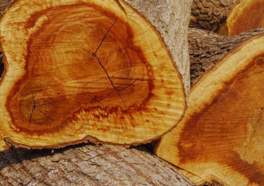 Kayu Keras Rimba Campuran